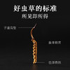 【正宗同仁堂品牌】北京同仁堂 冬虫夏草 西藏虫草-30/25g礼盒装 西藏虫草礼盒 可磨粉泡酒 滋补品SY 商品缩略图1