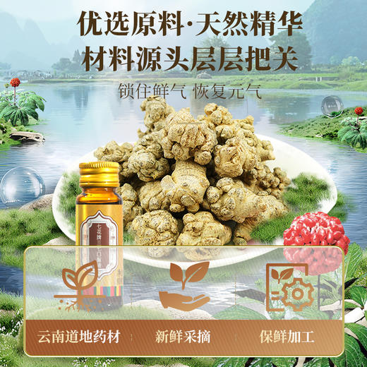 【官方正品】云南白药七花牌三七口服液30ml*30瓶礼盒装三七原浆鲜萃液增强免疫力缓解体力疲劳鲜三七植萃 商品图3