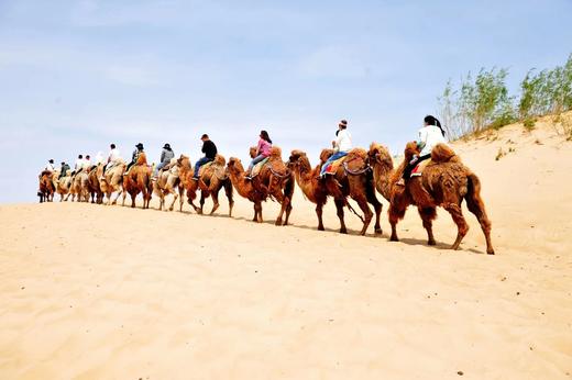 乌兰布统6天亲子游学营（2025夏令营） 商品图3