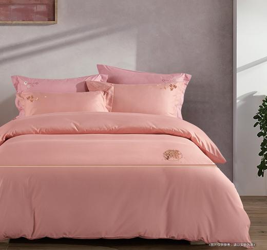 空气棉印花床单四件套 商品图4