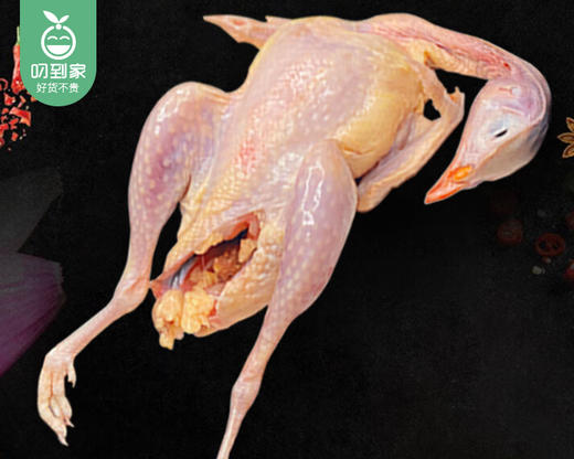 漳州高山饲养中鹧鸪（杀好）/1只（280-320g）生产日期：12月28日左右 商品图1