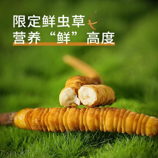 【现挖西藏鲜虫草】季节限定福利 补充满满能量（收到货后请尽快冷冻保存哦~） 商品图1