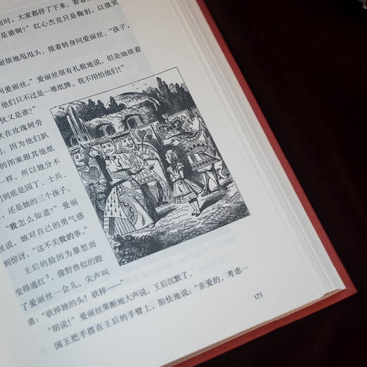 爱丽丝漫游奇境与镜中奇遇 诺顿注释本（美国科普大师耗时55年编注 卡罗尔研究史上的里程碑之作） 商品图9
