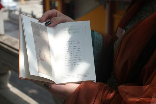 《诗画中国》  首首诗情画意，一眼沉醉，惊艳了千年的时光 商品图6