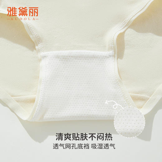 雅黛丽内裤女2024新款纯棉透气简约舒适中腰三角裤夏季薄款短裤头 商品图4