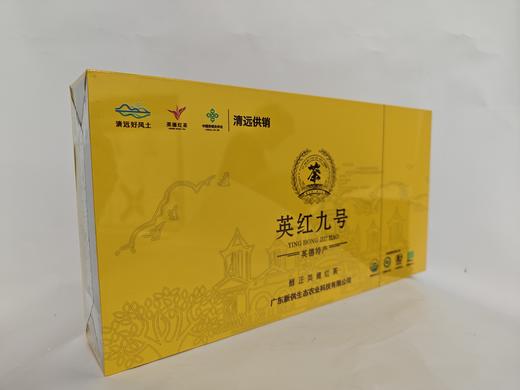英红九号茶礼盒150g黄盒秋茶 商品图4