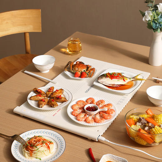 韩国大宇 暖菜板DY-NCB30 商品图3