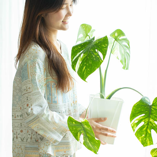 蒙特堡的城墙家居服睡衣女套装纯棉薄款复古风高级感夏季 商品图1