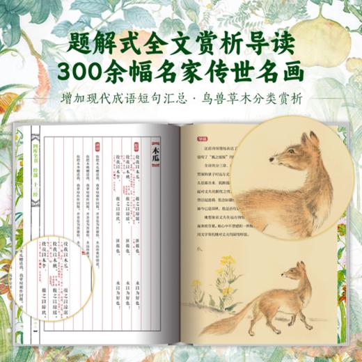 【现货！限量刷边100套】《诗经》全注全译全本彩图典藏版(全2册) #精选 商品图3