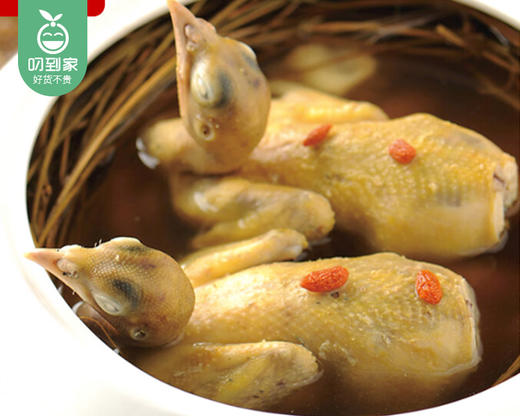 漳州高山饲养中鹧鸪（杀好）/1只（280-320g）生产日期：12月28日左右 商品图5