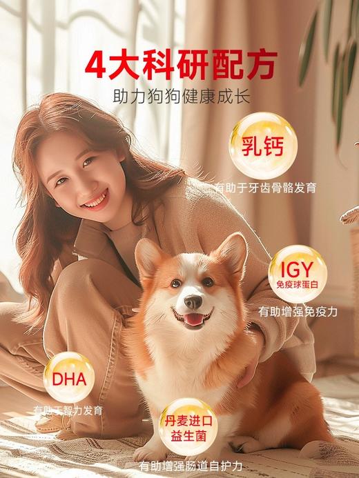 谷登零乳糖羊奶粉(犬用) 商品图4