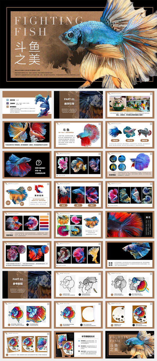 《彩虹般的鱼：跟着斗鱼游进瑰丽的色彩世界》图片写生/高年级/自动发货：下单后，点击手机短信中收到的链接，即可获取文件下载的链接；如有任何问题，可添加客服微信hm33268获得帮助。 商品图3