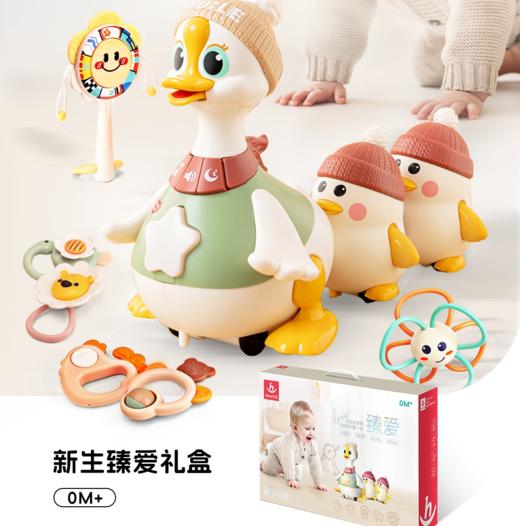 汇乐新生儿摇摆鹅限定款臻爱礼盒 商品图3