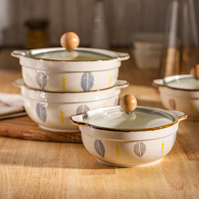 摩登主妇日式双耳汤碗带盖泡面碗家用2024新款陶瓷面碗釉下彩餐具