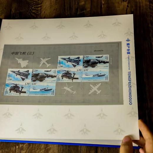 《腾飞中国》+《鹰击长空》珍邮大全 商品图3