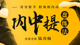 【内中提盘练法】自学课程