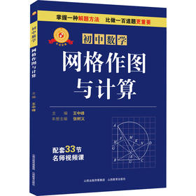 专项突破 初中数学 网格作图与计算