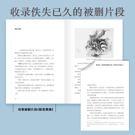爱丽丝漫游奇境与镜中奇遇 诺顿注释本（美国科普大师耗时55年编注 卡罗尔研究史上的里程碑之作） 商品图4