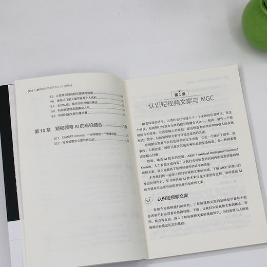 AI短视频文案写作从入门到精通 邵诗雨 编著 北京大学出版社 商品图4