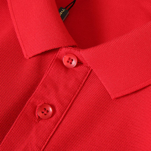 YvesFigarau伊夫·费嘉罗新款休闲短袖T恤970860 商品图3