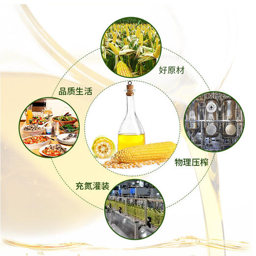 鲁王压榨玉米油4L 商品图3