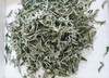 2024新茶 特级嫩芽 绿茶 红茶 白牡丹 总有一款适合你  通道茗好茶业 商品缩略图6