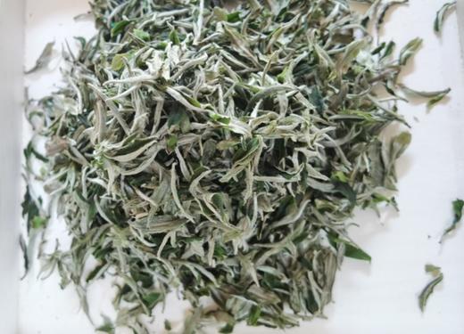2024新茶 特级嫩芽 绿茶 红茶 白牡丹 总有一款适合你  通道茗好茶业 商品图6