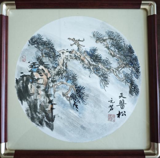 天医松 商品图0