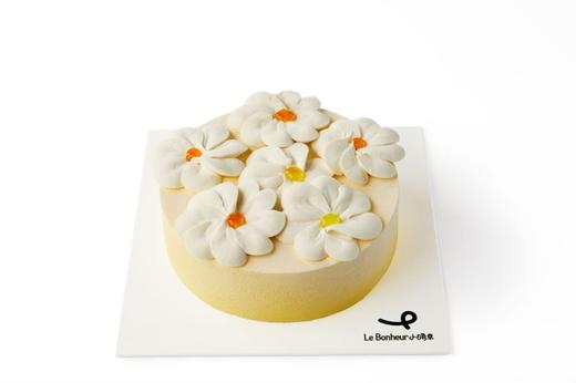 大溪地香草杏桃·慕斯蛋糕 商品图0