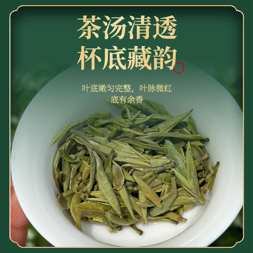茶园记 商品图3