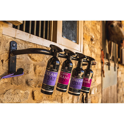 Dream Coat 马匹皮肤高光喷雾 防滑配方 鬃毛尾巴均可用CDM 商品图2