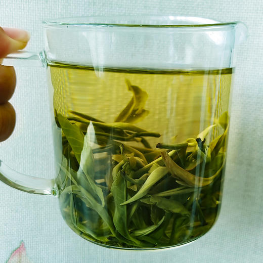 【买3送1】吉顺号2025年新茶碧螺春绿茶云南大叶种滇绿早春茶叶 商品图3