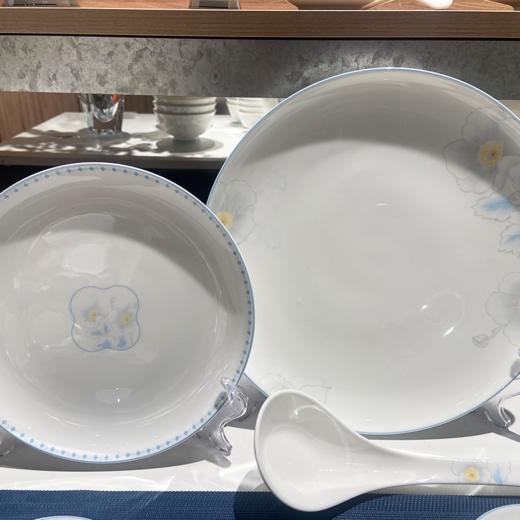 凡瑞斯花样年华48头10人用骨瓷餐具 商品图6