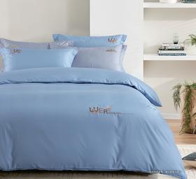 空气棉印花床单四件套