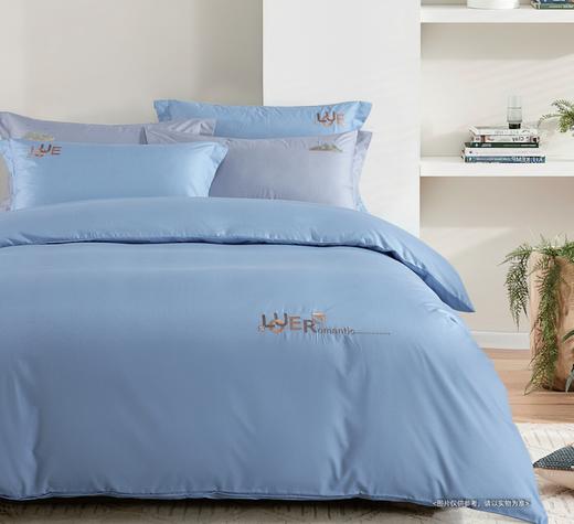 空气棉印花床单四件套 商品图0