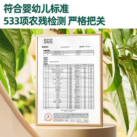 英氏婴幼儿秋月梨膏（山竹刺梨味）120G（10袋/盒） 商品图5