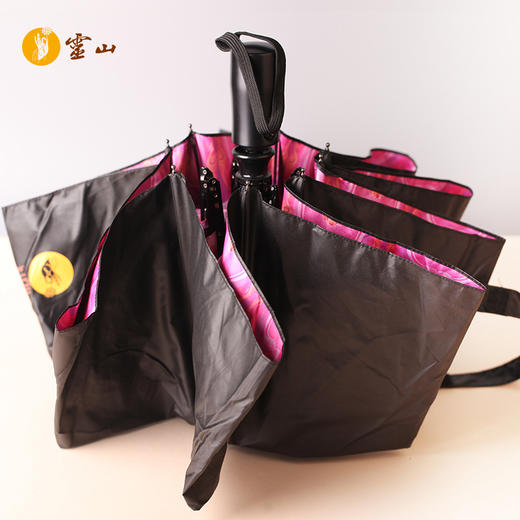 灵山圣坛穹顶伞 商品图4