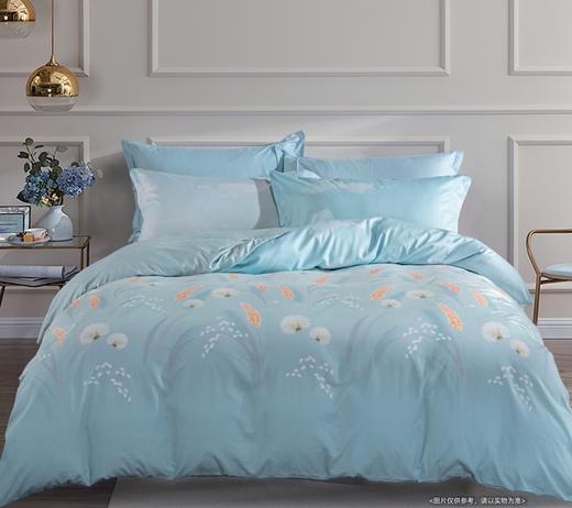 空气棉印花床单四件套 商品图11