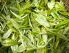 2024新茶 特级嫩芽 绿茶 红茶 白牡丹 总有一款适合你  通道茗好茶业 商品缩略图1