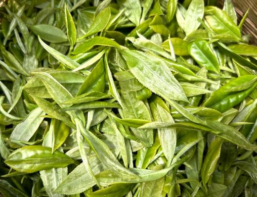 2024新茶 特级嫩芽 绿茶 红茶 白牡丹 总有一款适合你  通道茗好茶业 商品图1