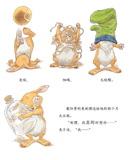 《早安，兔子！晚安，刺猬！》（全4册） 商品图13