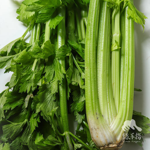 生态大理西芹（中通）| 合作生产 * Eco-celery | Coproduction 商品图5