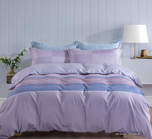 空气棉印花床单四件套 商品图5