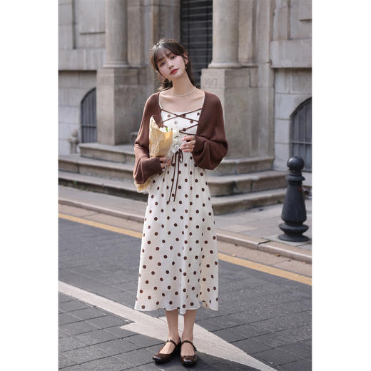 【65折秒杀】鹿向南《秋日野餐》波点吊带连衣裙女秋季气质裙子LXN266130 商品图4