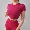 跃牌【周游世界系列】运动短 袖螺纹瑜伽服高弹透气瑜伽 TP0710 商品缩略图2