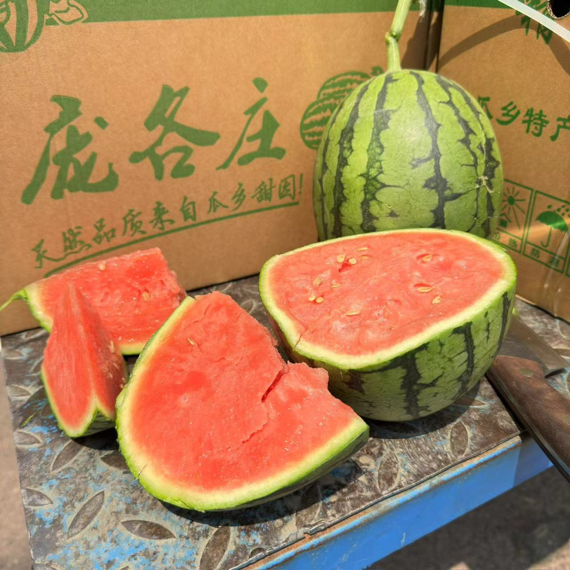 庞各庄冰糖小西瓜