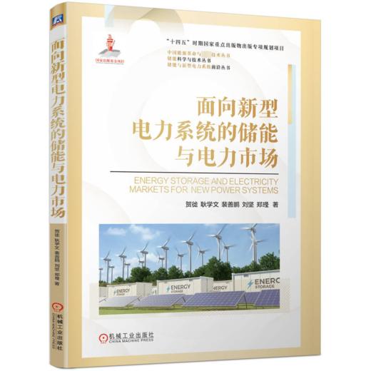 面向新型电力系统的储能与电力市场 商品图0