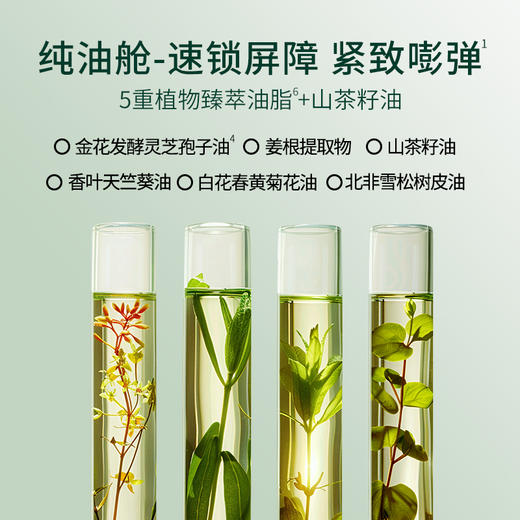 新品1+1叶绿素油敷面膜 商品图2