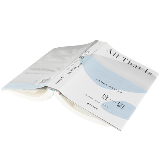 这一切（美）詹姆斯·索特 著 商品图3