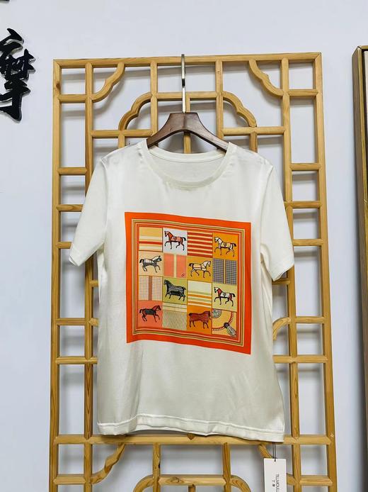 丁摩 真丝纯棉T恤半袖打底上衣XJ01-DC149-CN241-WX052 商品图14